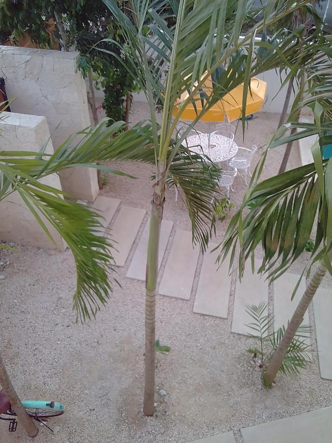 Posada Tumben Ka'A ตูลุม ภายนอก รูปภาพ